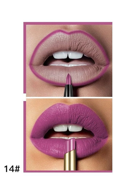 16 Color Long Lasting Lipstick + Lip Liner Combo