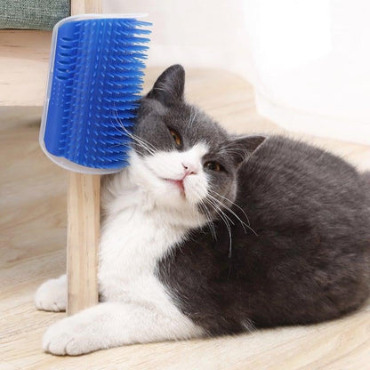 Corner Massage Cat Brush