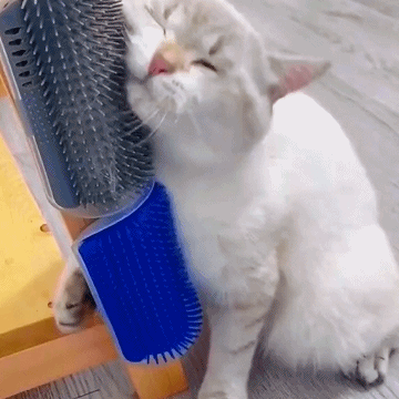 Corner Massage Cat Brush