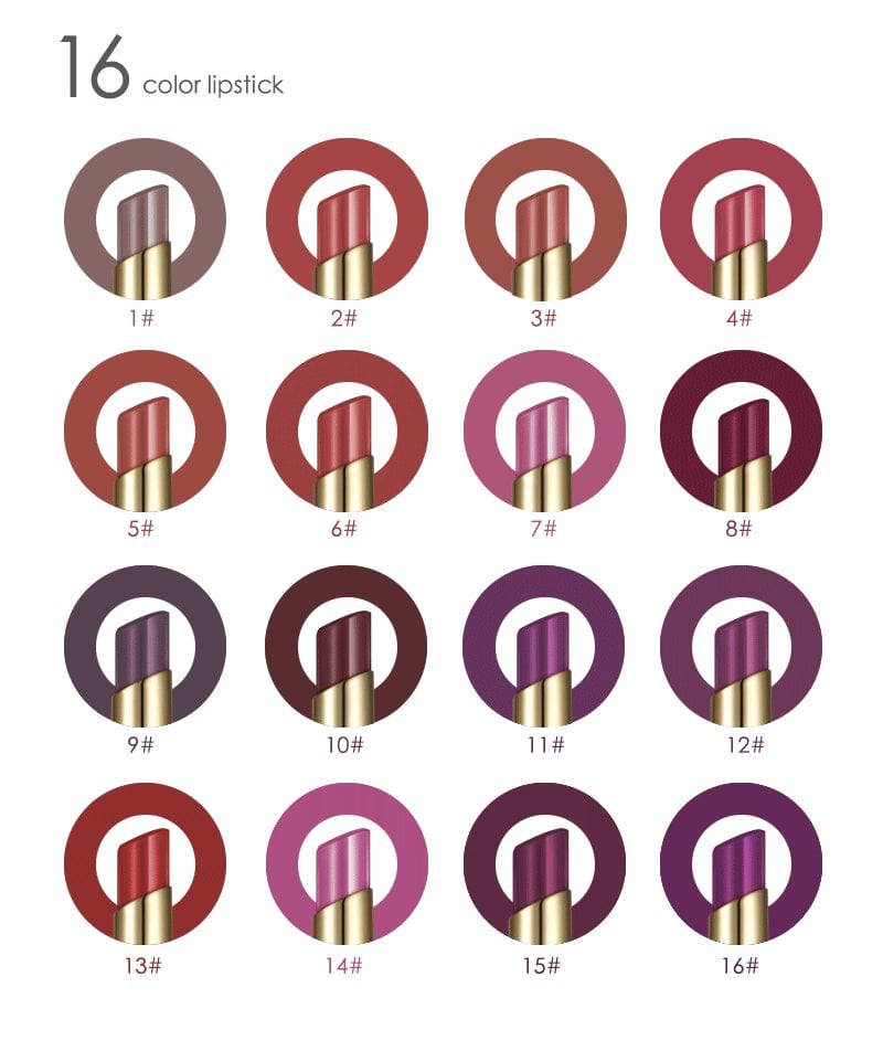 16 Color Long Lasting Lipstick + Lip Liner Combo