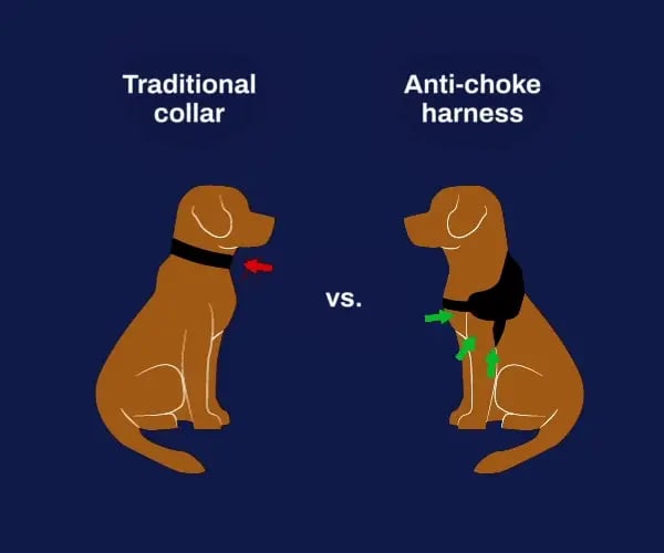 Choke Dog Harness