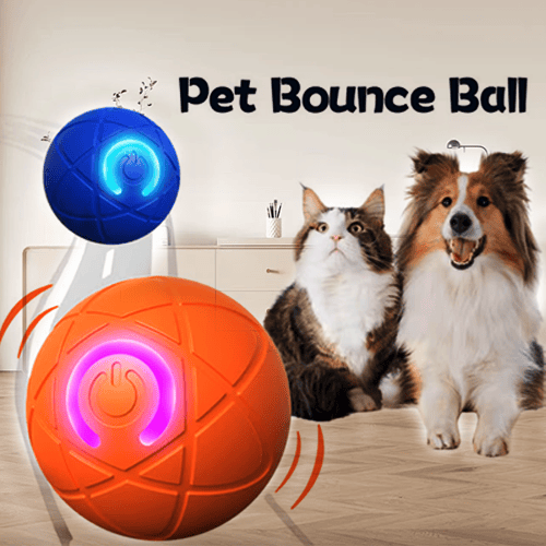 Pet Bounce Ball for Cats & Dogs