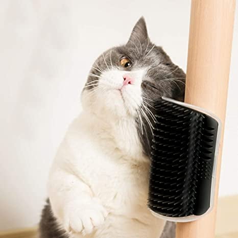 Corner Massage Cat Brush